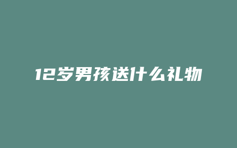 12岁男孩送什么礼物