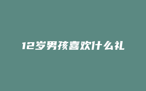 12岁男孩喜欢什么礼物